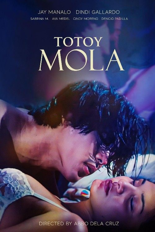 poster of [18＋] Totoy Mola (1997) Filipino VivaMax Movie